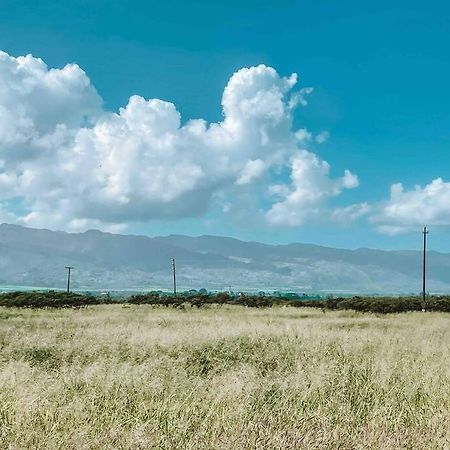 Hotel Cute Off Grid Glampsite With Wifi- 5 Min From Haleiwa Town Exterior foto