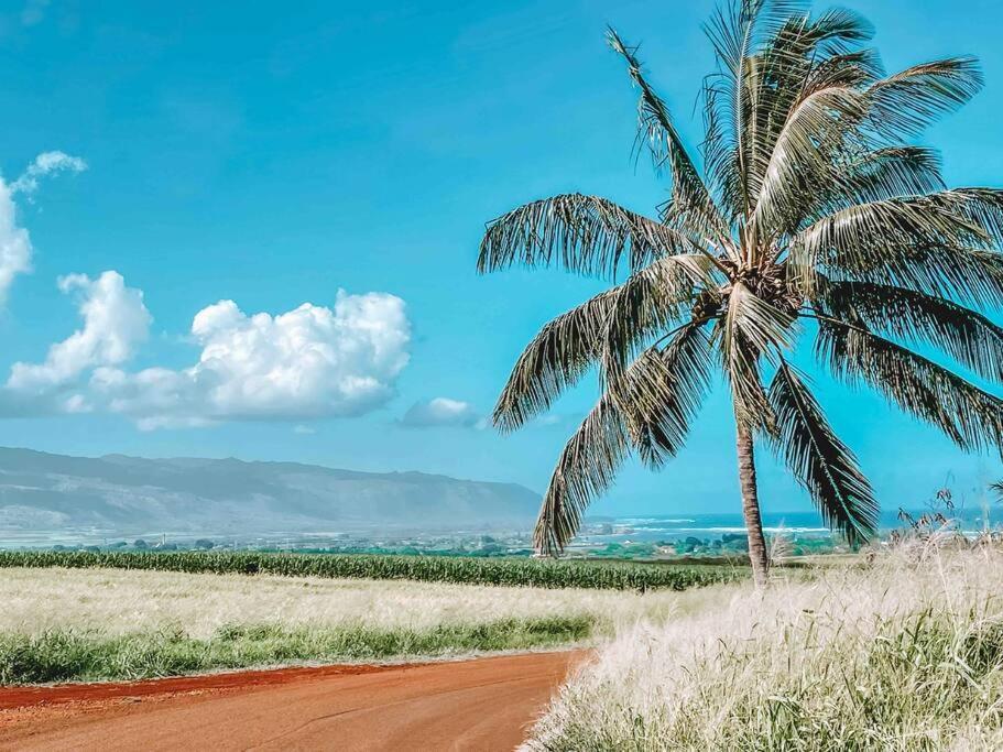 Hotel Cute Off Grid Glampsite With Wifi- 5 Min From Haleiwa Town Exterior foto