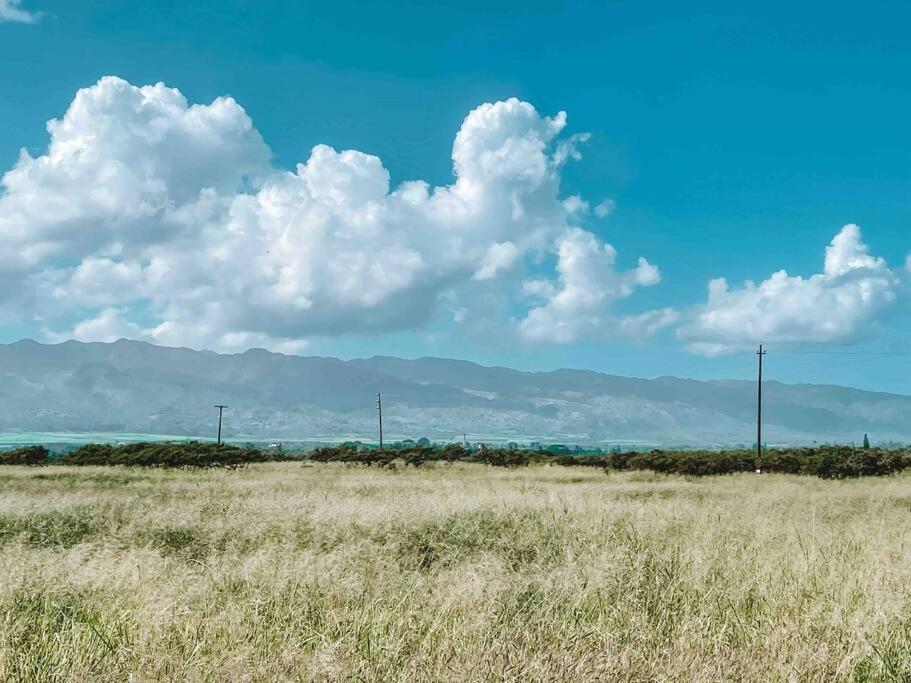 Hotel Cute Off Grid Glampsite With Wifi- 5 Min From Haleiwa Town Exterior foto