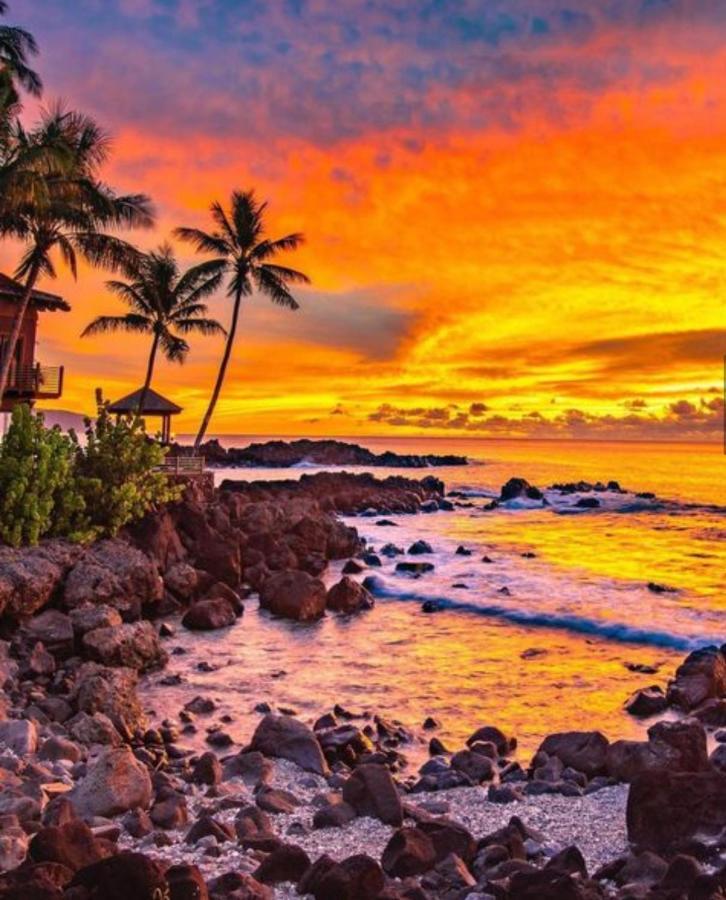 Hotel Cute Off Grid Glampsite With Wifi- 5 Min From Haleiwa Town Exterior foto